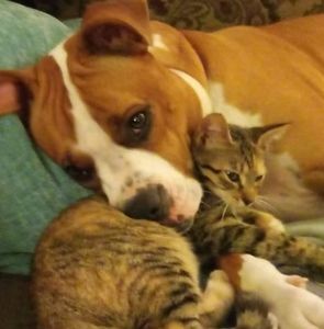 Meet your Posher, Janice